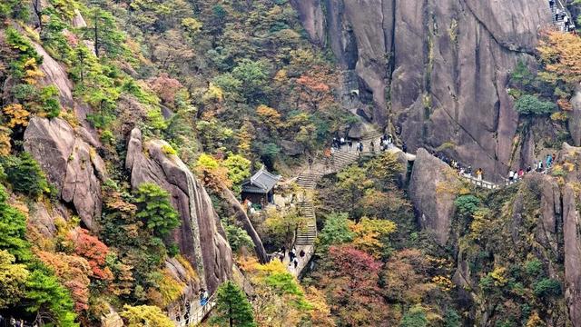 紧急播报：黄山秋色已达峰值，100%颜值在线，速来！| 皖美冬日 | 第十五届安徽国际文化旅游节