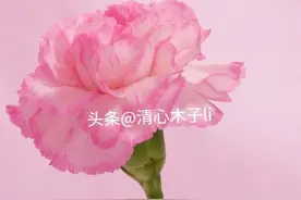 姐妹们，别再过洋节了！难道我们就没有自己的母亲节吗？图片