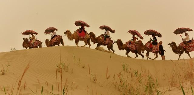 天山驼铃响千年丝路风华汇凉州