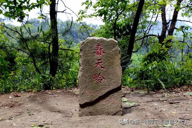 “哈儿山”停业、索道落地：南山正在又“破”又“立”？