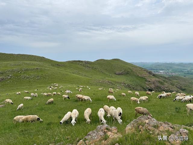 向北而行：北京自驾沽源、多伦、太仆寺旗的草原牧歌（5）石条山