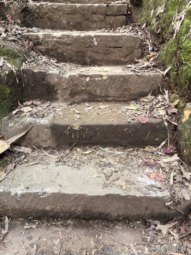 户外徒步之挑战缙云九峰，从健身梯道到狮子峰，走了四小时