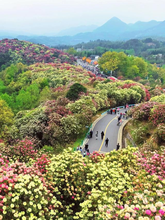 世界上只有贵州才有的独一无二的十四大奇景