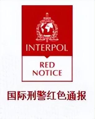 又揪出来一个巨贪，金额高达9.7亿	，首富夫人郝斌跨境逃亡失败了