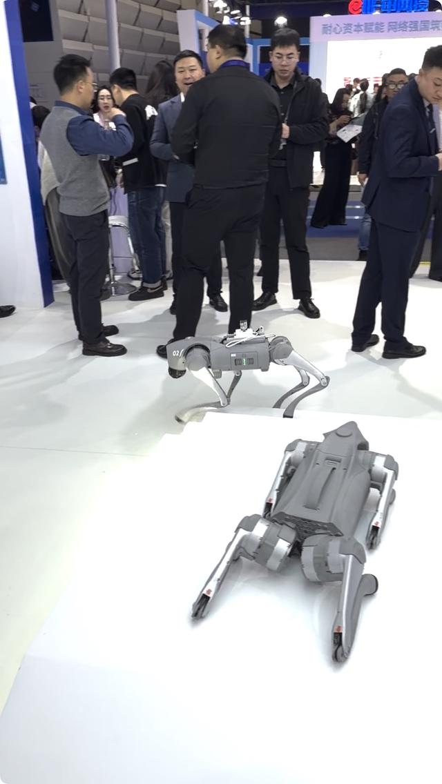 “AI含量”创下历史新高，2025年世界互联网大会太顶了！