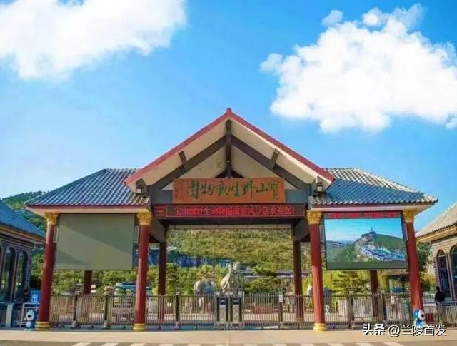 好客山东好品山东｜临沂遛娃去哪儿？初冬攻略收藏就出发～