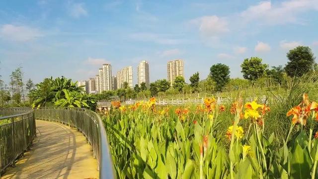 山东省将会出现下一个“青岛”，并不是烟台，而是这个城市