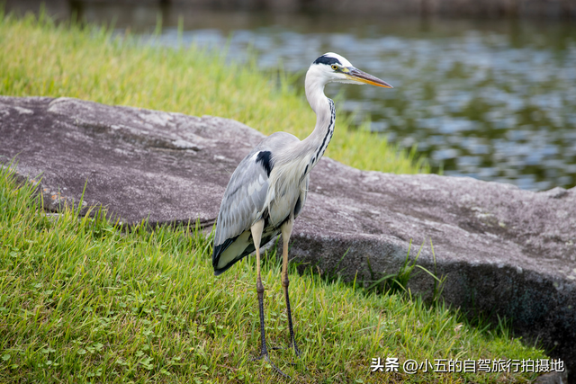 杭州Citywalk超全攻略：5条主题路线带你玩转杭城
