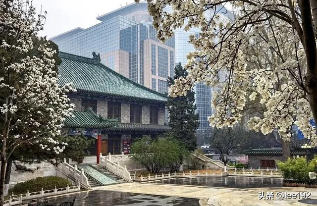 细赏王府系列之—雨中协和（49）《13》