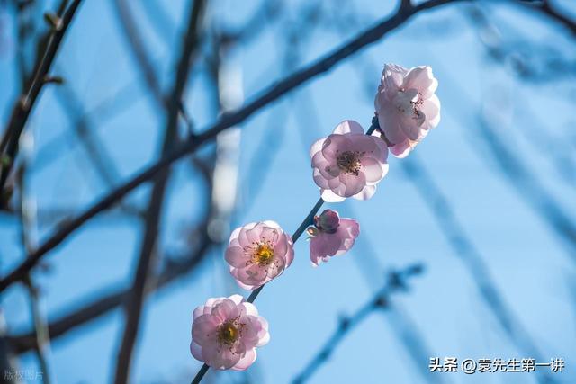 今日小雪	，老人说最怕“小雪一日晴	”，小雪天晴有啥预兆？