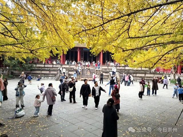 开始刷屏！🤩🤩 崇州罨画池迎来颜值巅峰