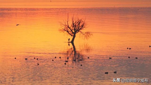 滇池南岸 浮光跃金
