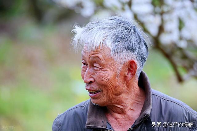 65岁男子相亲，要求同居试婚，女子:满足你要求，但是我有也要求