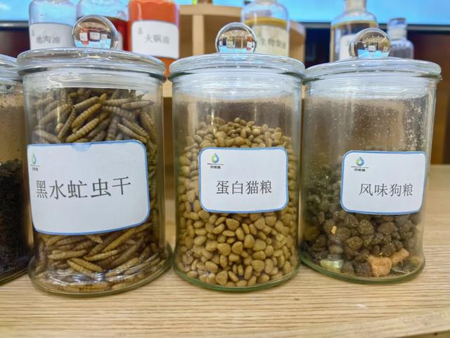 全国首家!亚洲最大!新津企业这项技术让垃圾变成“宝贝”