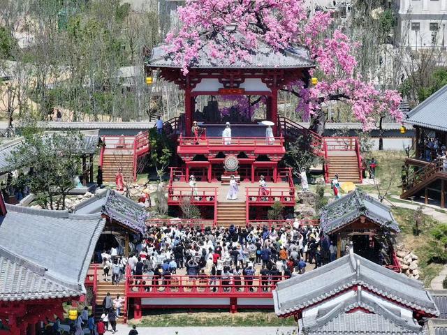 山东乐陵：千年枣林激发文旅融合发展新活力