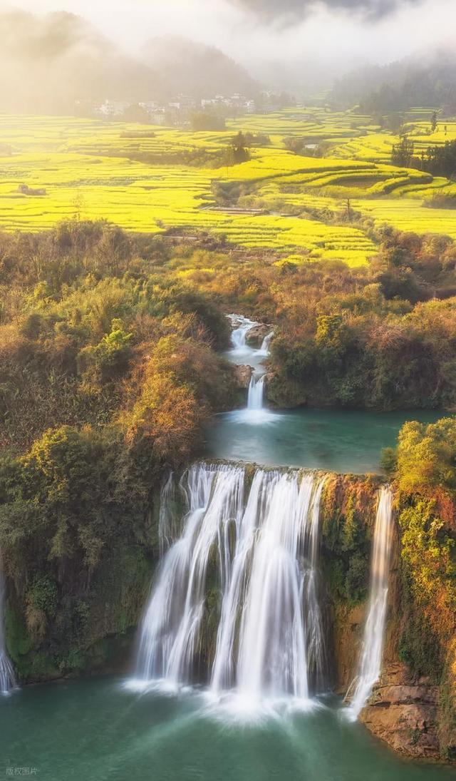 去罗平，追中国第一抹春！油菜花海已进入最佳观赏期，不要错过！