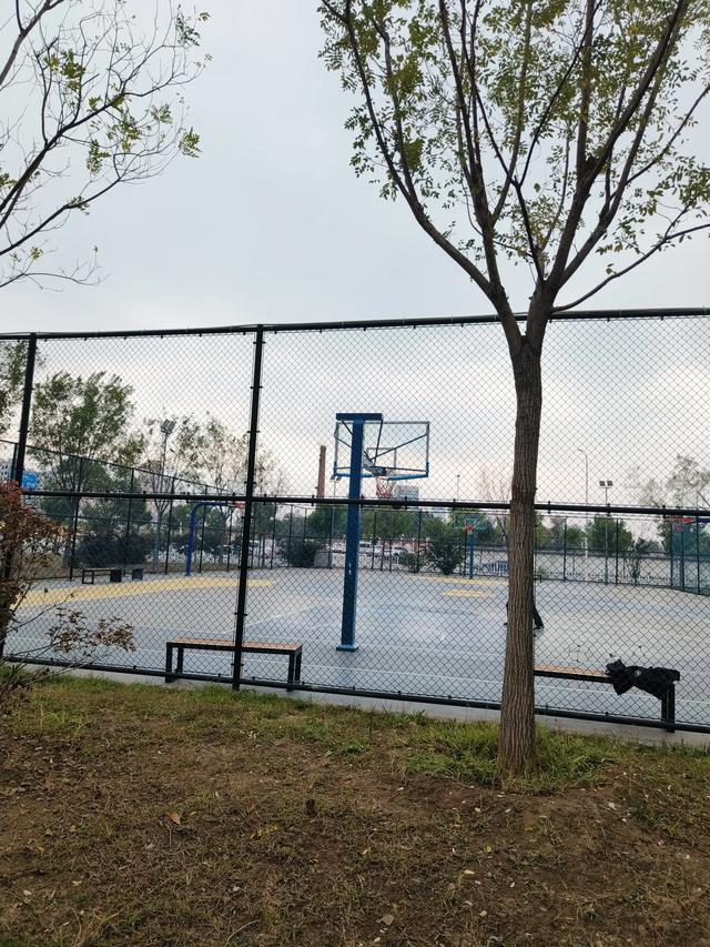 天津《金茂体育公园》