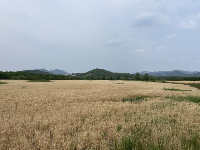 骑游宝华山南部东部水库山林越野