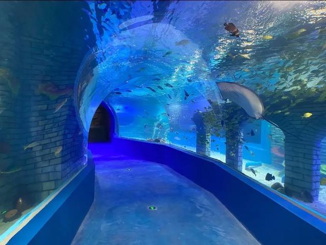 天津的会客厅,永远给您留座儿!