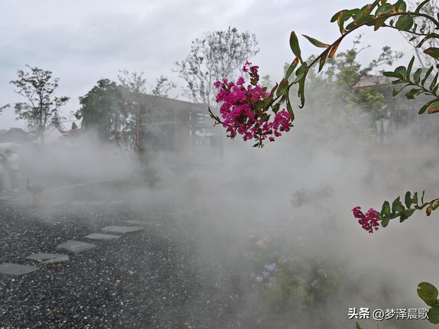 云梦仙境花开十月花雾醉游人
