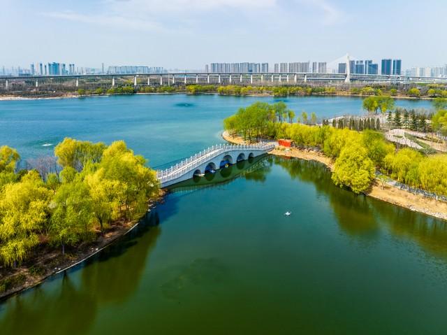 郑州秋日旅行天花板！这4个市内秋游美到难忘，最后一个印象深刻