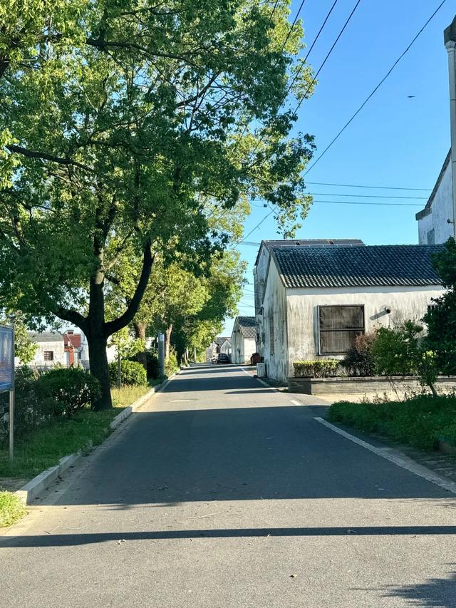实地探访“江苏美丽乡村”、丹阳访仙镇草塘村漂亮的乡村环境