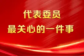 开展精准化家庭教育指导、全链条惩治跨境电诈犯罪……代表们关注这些事图片