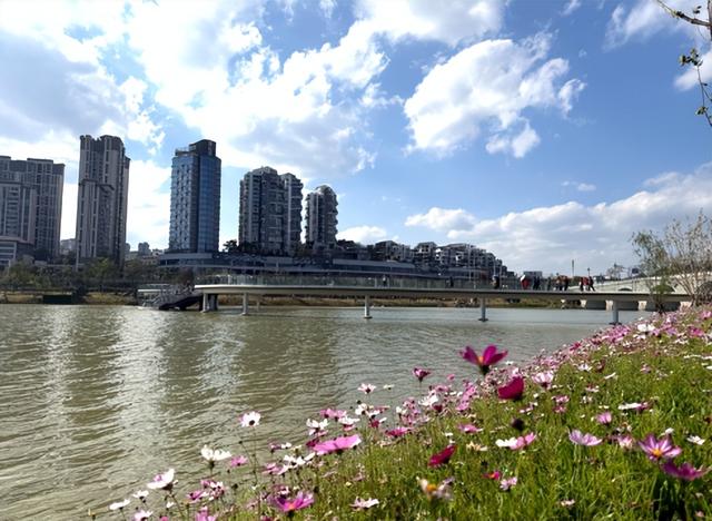 花溪湖：咖啡氤氲处 乐声伴暖阳