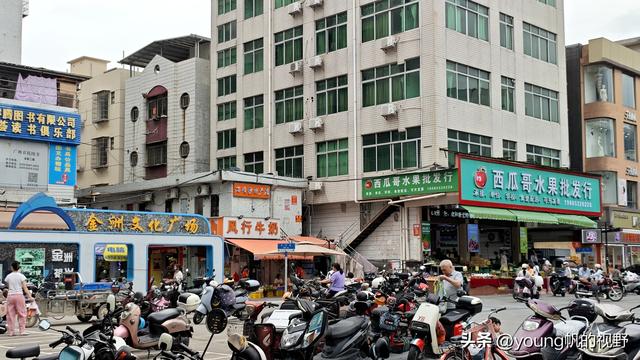 广州南沙金洲，一个充满市井生活气息的地方……