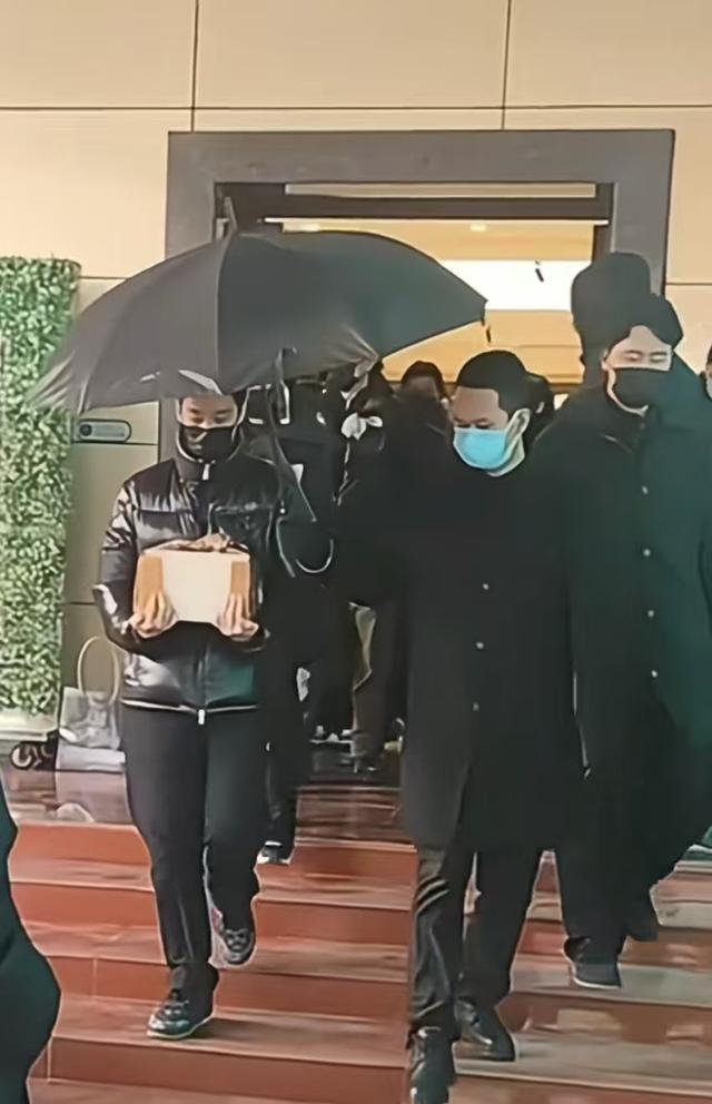 “妈，北京下雪了”：昏迷中，何晴用最后一丝力气握住儿子的手