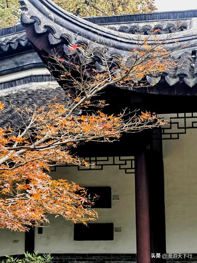 镇江三山一渡中，焦山是我的盘中菜，历史文化底蕴更为深厚