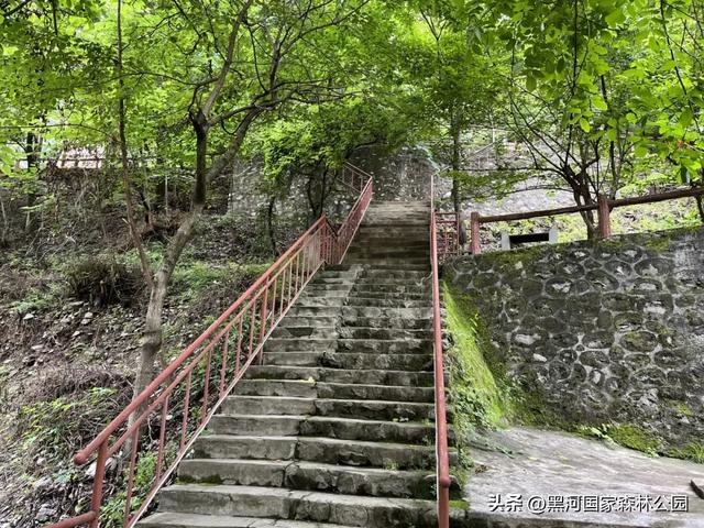 拒绝“蒸笼模式”,在黑河畅享20℃+的清凉时光