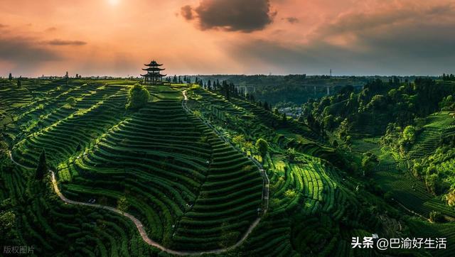雅安旅游“封神榜”：6大绝景+11处国保，比成都更值得深度游！