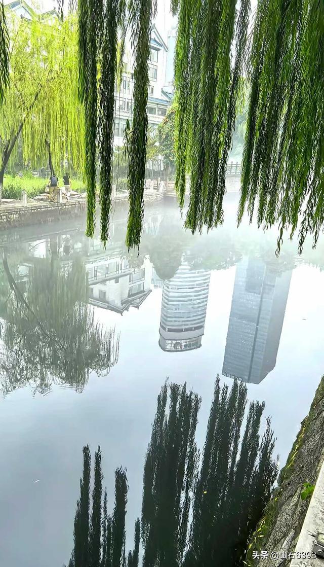 新华社原军事记者陶俊峰泉城美拍：秋雨后 护城河边美如画