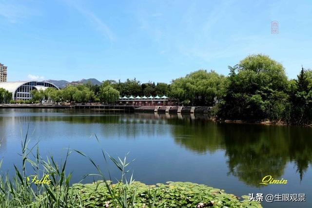 影记 | 青岛李沧文化公园掠影