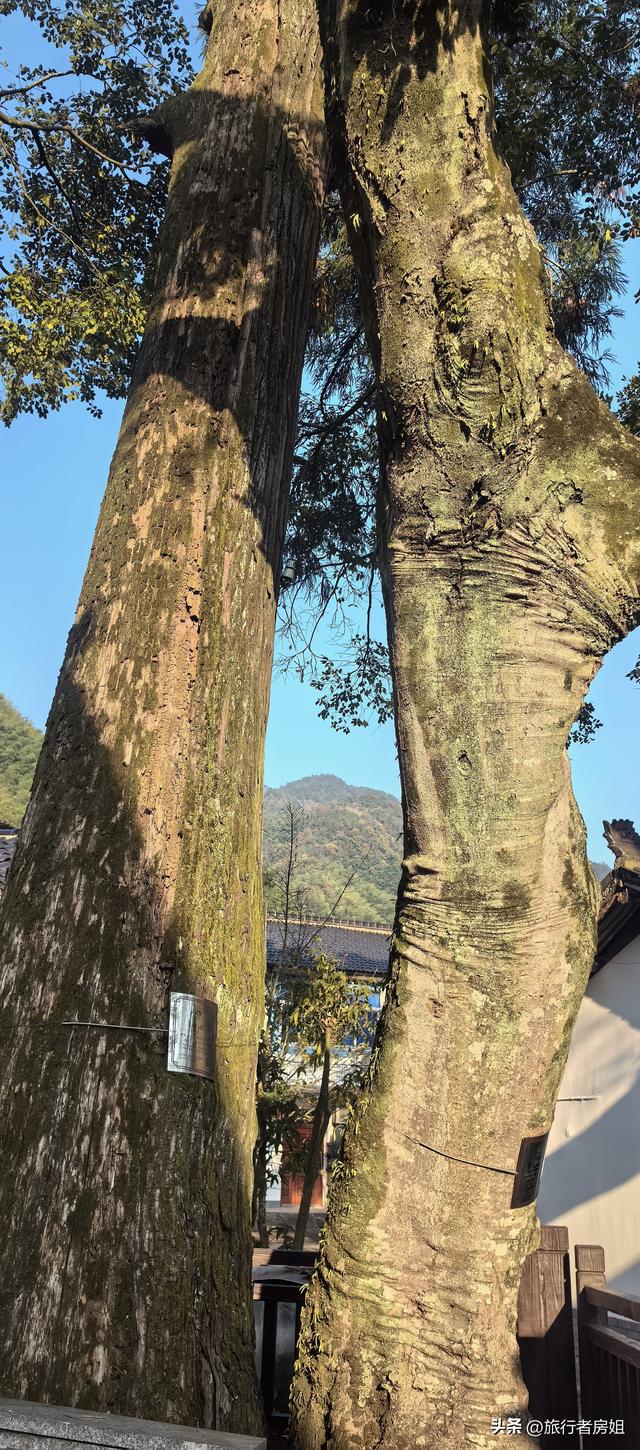 真是醉了，徒步奉化东西岙徐凫岩看悬崖飞瀑堵人竟然堵到怀疑人生