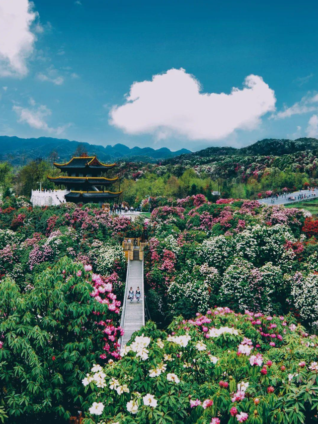 贵州被低估的10个绝美景区，个个都是世界级旅游名片，你去过几个