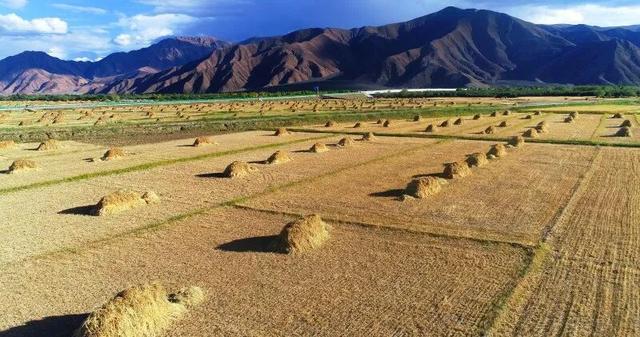 秋日西藏限定美景上线！摄影师私藏机位，拍出无敌风光大片