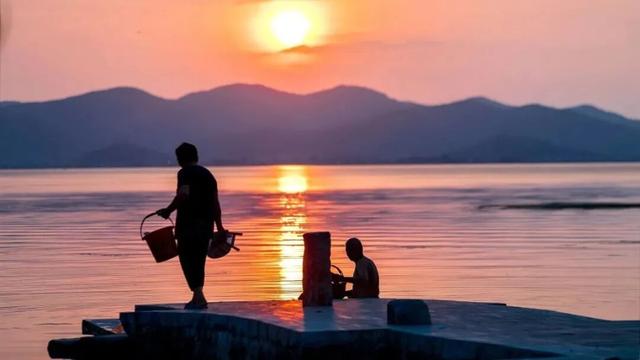 真的很美！2025苏州太湖观鸟超详细攻略来啦！