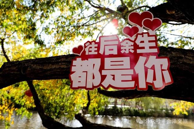 以礼初冬，树染波心山街色 蒋加祥/图