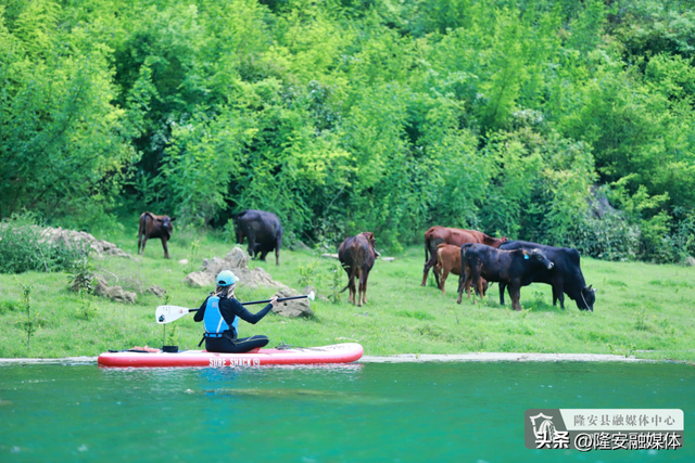 跌进布泉河的翡翠里——寻21℃山水，纳一夏清凉