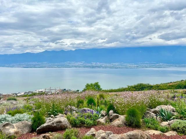 大理海东：艺术与山海交织，旅居生活在这里“生长”
