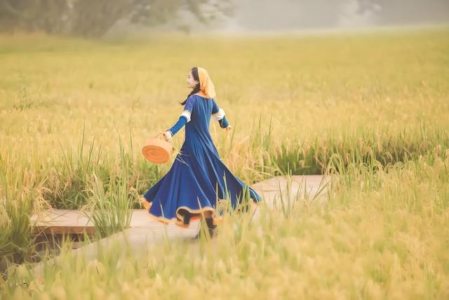 秋美画意 情愫绵绵 （原创秋情词三阕）