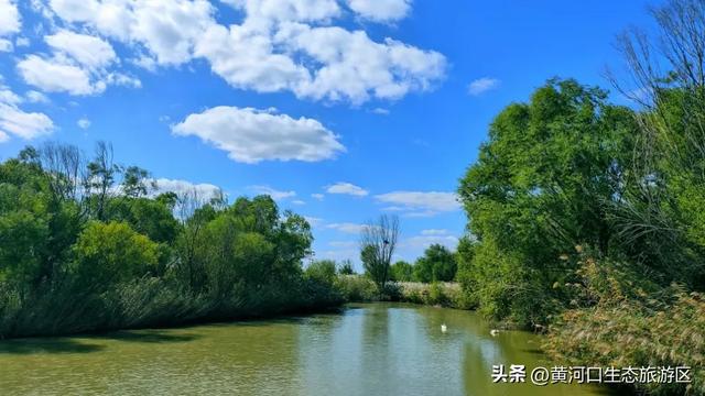 【情满双节游东营】黄河口生态旅游区2025国庆假期活动 大揭秘！速来围观！