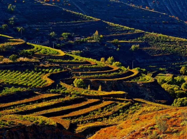 【白银文旅】冬已至秋渐远，再赏一波靖远的秋