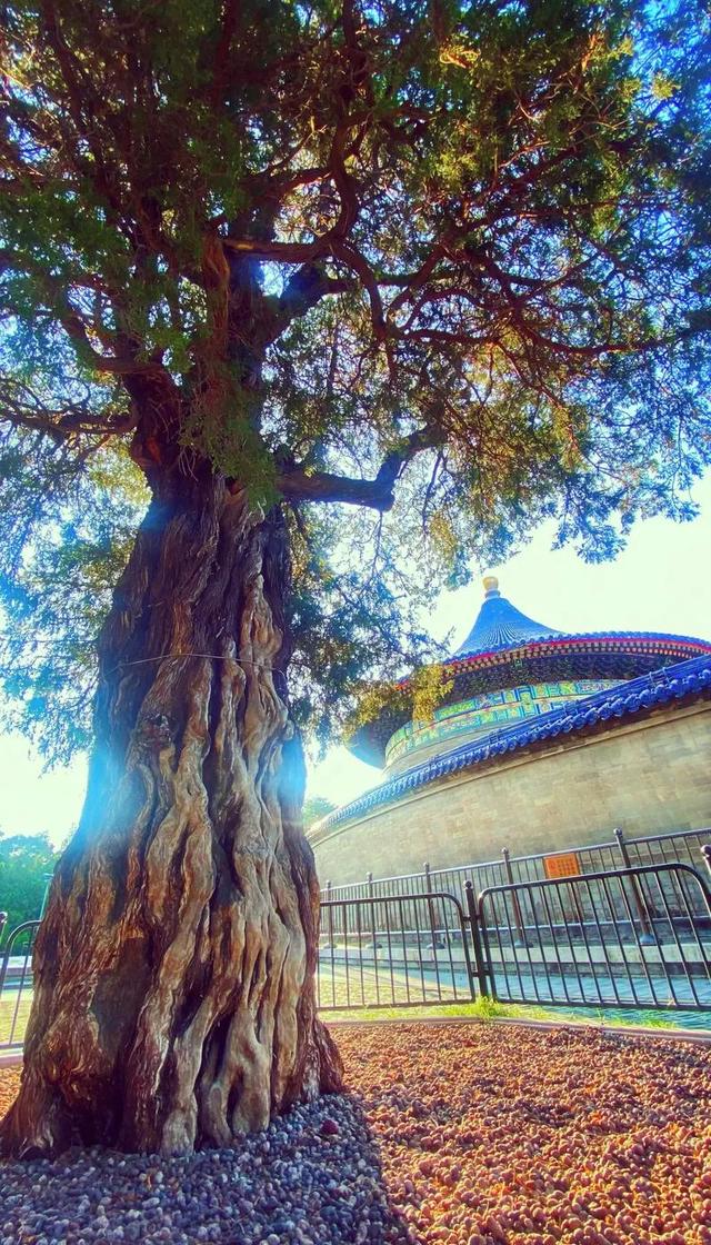 去北京必逛的天坛：怎么玩才不走马观花？
