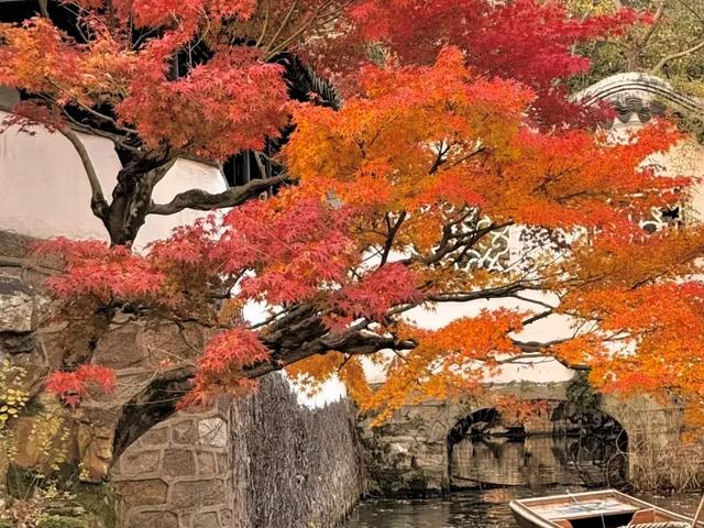 苏州秋天藏不住了！8个封神打卡地，承包江南最浓秋意