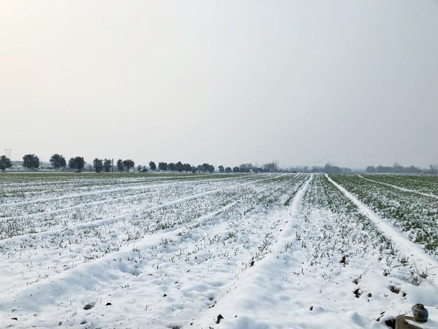 “不怕冬至阴一天	，就怕冬至一天晴	”，明日冬至，晴天有啥预兆？