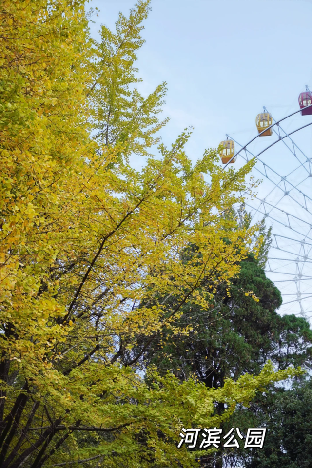 从街角到古村，一键解锁贵阳的秋日浪漫