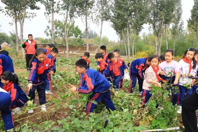 潍城露营热：解锁文旅新玩法，周末约起~